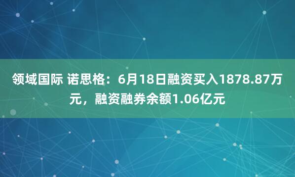 领域国际 诺思格：6月18日融资买入1878.87万元，融资融券余额1.06亿元
