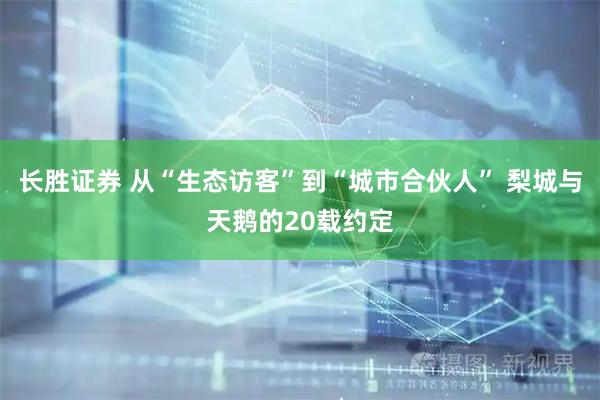 长胜证券 从“生态访客”到“城市合伙人” 梨城与天鹅的20载约定