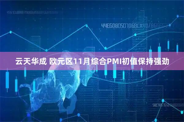 云天华成 欧元区11月综合PMI初值保持强劲